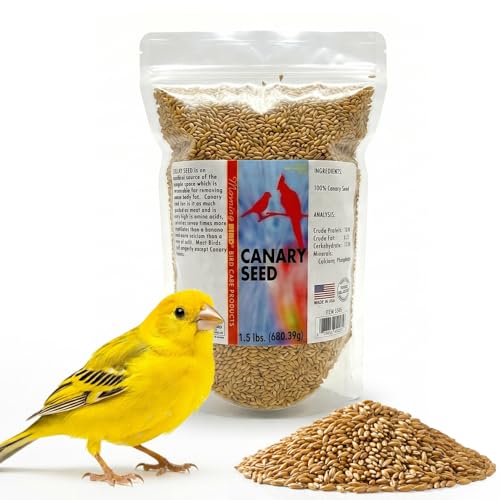 Morning Bird Canary Seed 1.5 lbs Nutrient-Rich Bird Seed Creamy Golden Grain Powerhouse - Supports Healthy Feathers & Strong Bones Natural Daily Nutrition for All Bird Types