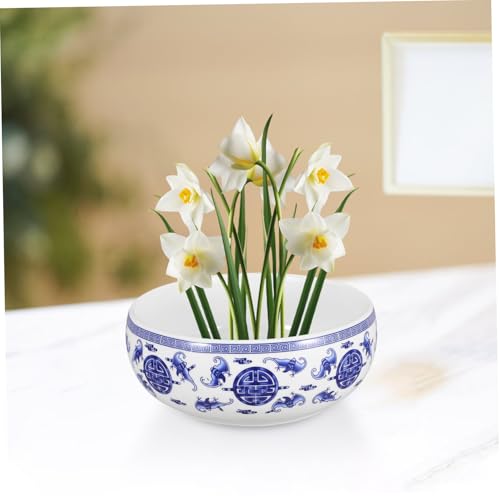 Plavier hydroponique en céramique pot de lys Gatuida pour maison