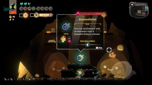 Folly of the Wizards Collector's Edition Nintendo Switch