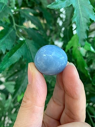 Image of GAF TREASURES 1 /2 LB Angelite Tumbled Stones, Polished Angelite Gemstone, Angelite Healing Crystals (Angelite)