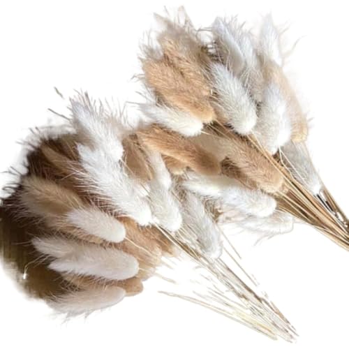 Bouquet de 60 ramas de pasto pampas secas para decoración miniatura 2
