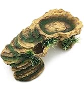 Amazon | 両爬工房 シェルター 隠れ家 爬虫類 レオパ ニシアフ 陶器