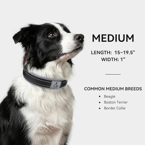 Image of Joytale Dog Collar for Medium Dogs, Neoprene Padded and Adjustable, Reflective Wide Heavy Duty Pet Collars with Durable Metal Belt Buckle for Walking, Black, M