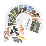 SUPVOX 1 Juego tarjeta modelo animal tarjetas de emparejamiento de animales figuras de animales juguetes tarjetas de animales juguete a juego con animales tarjeta de animales papel
