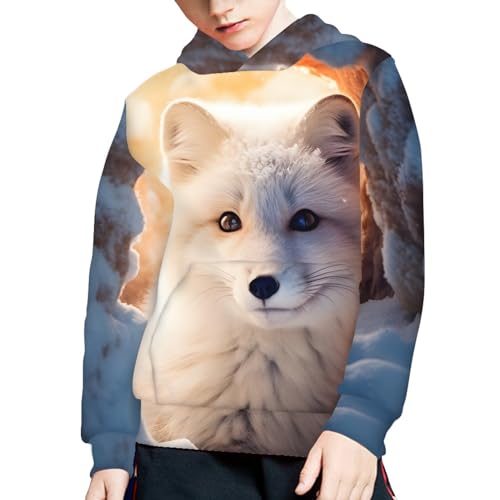 JooMeryer Teens Kids Boys 3D Fox Printed Animal Long Sleeve Hoodie Sweatshirts 6-16Y3