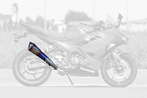 アールズギア (r's gear) ワイバン リアルスペック スリップオンマフラー