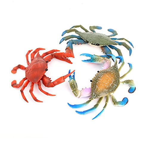 SDUSEIO 3 Pieces Artificial Plastic Realistic Crab Decor Blue Crab Wall Decor Tiki Bar Simulated Sea Life Animals Figurines Realistic Sea Creature Model Plastic Ocean Science Educational Props