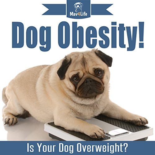 Dog Obesity! - Mav4Life