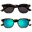 2 Pack |Matt Brown Tort / Matt Green Tort