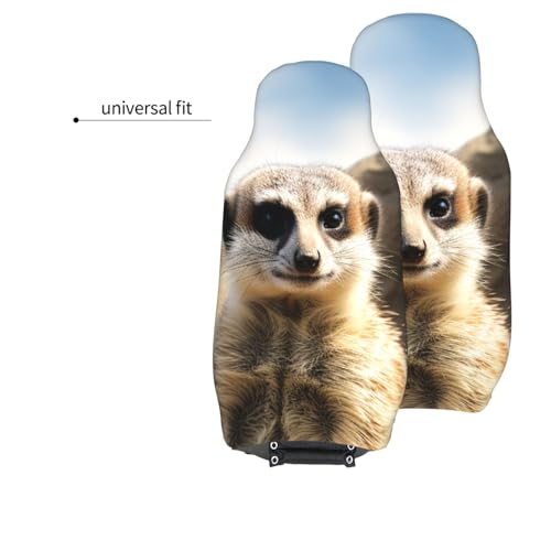 Housses de siège voiture suricate : lot de 2 protections lavables