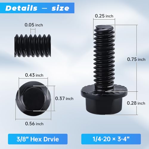 Image of Glvaner 1 /4-20 x 3 /4 inch (25 pcs) Stainless Steel Serrated Flanged Hex Head Bolts Bolts, 18-8 (304) Stainless Steel, Full Thread, Black Coated