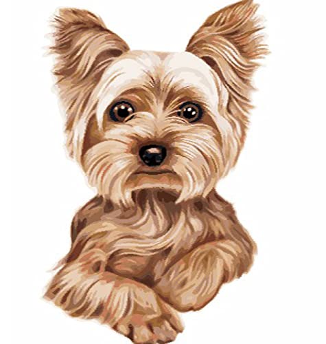 Peinture au diamant 5D adultes chien - Broderie diamant strass et cristal 30x40cm