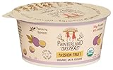 Painterland Sisters Organic Passion Fruit Skyr, 5.3 Ounce