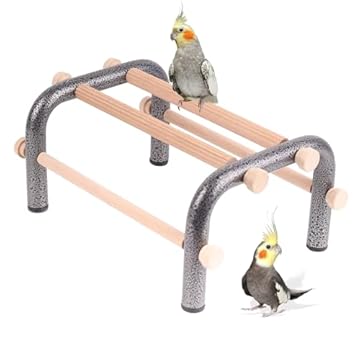 bird perch for a frame stand