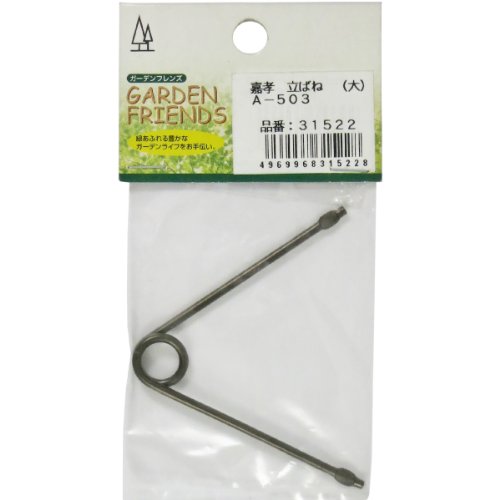 ߗ^(KONYO) K[ftY ΂ () A-503