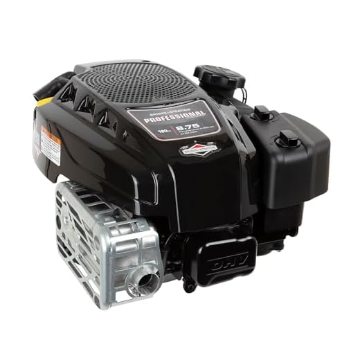 875 Professional 190cc OHV ReadyStart Engine