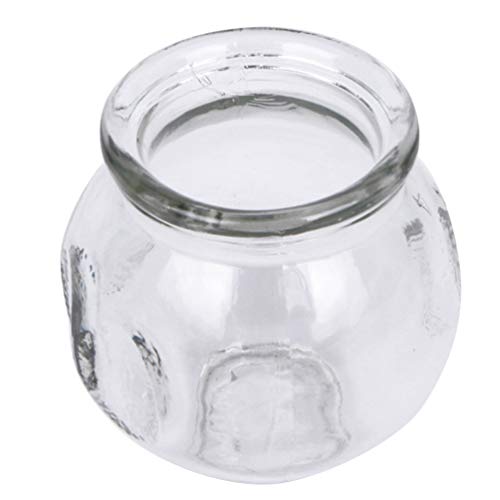 Ventouses thérapeutiques en verre pour massage relaxant du dos à la maison