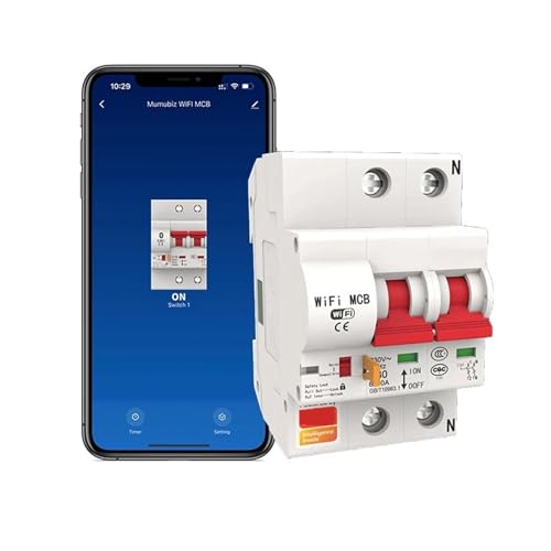 Disjoncteur WiFi Smart Life 2P 25A pour tableau électrique
