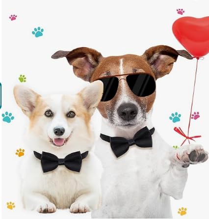 Hundehalsband Fliege für Hunde Fliege Samtige Halsband Hund Für Hochzeiten Geburtstage Festliche (Schwarz)