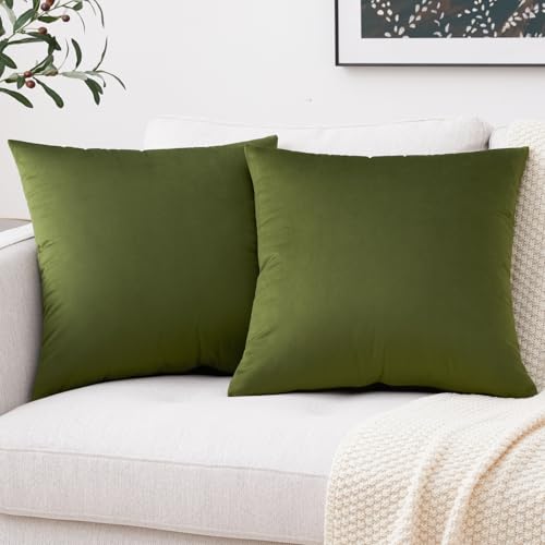Image of Mixhug Set of 2 Cozy Velvet Square Decorative Throw Pillow Covers for Couch and Bed, Moss Green, 18 x 18 Inches