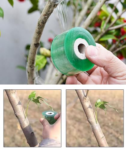 Cinta de injerto elástica para plantas 4 rollos miniatura 7