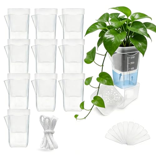 Maceta Autorriego Transparente, 10 Piezas Macetas para Plantas Aromaticas con Agujeros de Drenaje Maceta Orquidea Agujeros de Doble Capa con Cuerda Macetas para Hierbas Aromaticas para Interiores