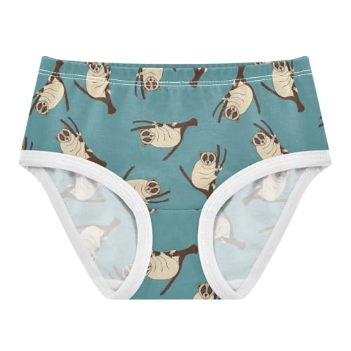 Little Girl Underwear Toddler Panties Kids Undies Lemur Soft Cotton Briefs 2T-8Y