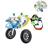 ● FÜR KLEINE TIERE MIT BEHINDERUNG: Geeignet für Hunde mit eingeschränkter oder nicht mobiler Hinterbeinhaltung. Der kleine Hunderollstuhl hilft Haustieren mit Hinterbeinverletzungen oder Haustieren mit Behinderung beim Laufen. Lindern Sie die Schmerzen Ihres geliebten Haustiers, wenn es nicht richtig läuft. XXS ist ideal für erwachsene Katzen / kleine Hunde / Spitzkatzen / Chihuahua / Kaninchen und andere kleine Haustiere mit einem Gewicht von 3 bis 8 kg