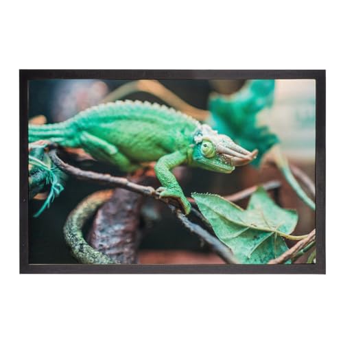 Paillasson Caméléon Jackson et Lézard Vert 60x40cm