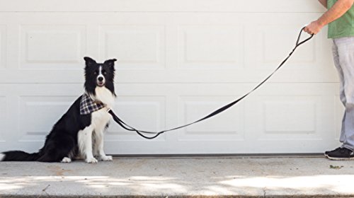Leash Boss 3X - Two Handle Dog Leash with Extra Traffic Handle - Heavy Duty Double Padded Handle Lead for Walking and Training Large Dogs - Large Dog Leash for Control and Training - Thumbnail 6
