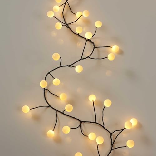 Qbis Cluster Fairy Lights - 240 Berry LED Christmas Lights on Black Wire, Warm White for Bedroom & Tree, Indoor or Outdoor - 4m Plug-in