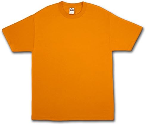 Plain Blank Men's Short Sleeve T-Shirt Style 1301 Crew Tee