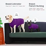 IECOii Hunde Pullover für große Hunde,XXL HundePullover WarmePullover Weste für den Winter,Strickhunde Pullover Hund Sweatshirt für großeHunde Junge Mädchen,Golden Retriever,Pitbull,Lila,2XL