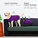 IECOii Hunde Pullover für große Hunde,XXL HundePullover WarmePullover Weste für den Winter,Strickhunde Pullover Hund Sweatshirt für großeHunde Junge Mädchen,Golden Retriever,Pitbull,Lila,2XL