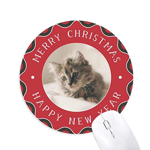 �����̃L�e�B�D�F�̔L�̎ʐ^ �~�`����S���̃N���X�}�X�}�E�X�p�b�h