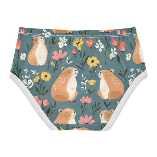 Wusikd Capybaras Girls' Underwear Cotton Flowers Girls Briefs Soft Toddler Underwear 2T2