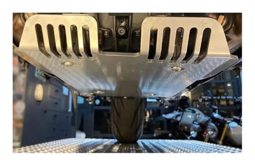 Placa protectora protección chasis premium para el motor de motocicletas R18 4