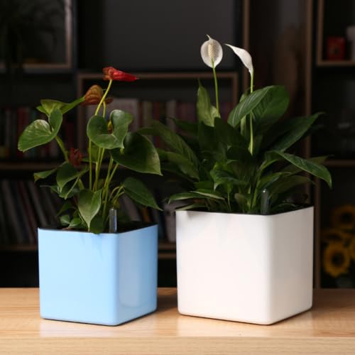 Pot Carré Blanc à Hydratation Automatique Jojofuny avec Grosse Capacité et Jauge d'Eau - 8
