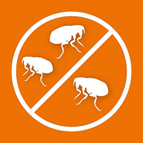 ARDAP Flohspray 250ml zur Anwendung am Tier - Bis zu einer Woche zuverlässiger, natürlicher & langanhaltender Schutz vor Flöhen, Zecken, Läusen & Milben (PT19)