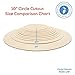 Wood Circles 10 inch, 1/8 Inch Thick, Birch Plywood Discs, Pack of 5 Unfinished Wood Circles for Crafts, Wood Rounds by Woodpeckers