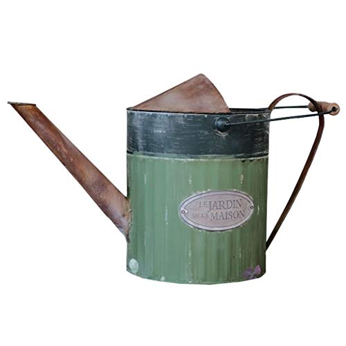Regaderas Hierro Verde Jardinería Metal Interior Floristería Boca Larga Muebles Decorativos (Color : Green, Size : 22 * 22 * 30.5cm)