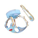 Hundegeschirr gegen Ziehen, atmungsaktiv, reflektierend, für Haustiere, Welpengeschirr, Traktionsseil-Set, für kleine, mittelgroße und große Welpen, Outdoor, tägliches Spazierengehen, Einkaufen