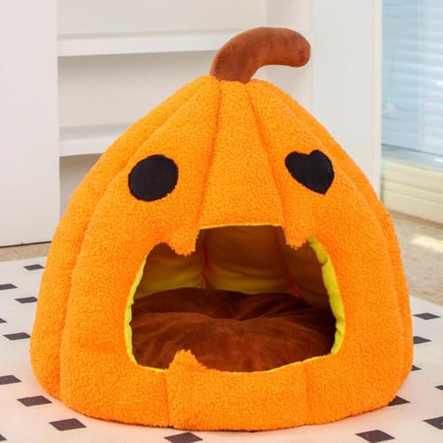 Lit pour chat citrouille panier chaud chiot avec coussin amovible