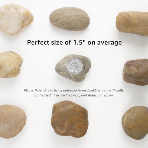 Image of 10LB Mixed Stones Pebbles River Rocks, Natural Beach Pebbles,1-2 Inch Decorative River Rocks for Landscaping Garden Paving Plant Rocks Crafting Walkways and Outdoor Decorative Stone