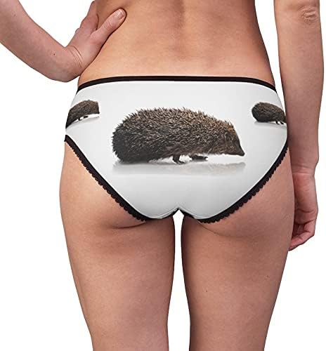 Hedgehog Isolated Panties, Hedgehog Isolated Underwear, Briefs, Cotton Briefs, Funny Underwear, Panties For Women