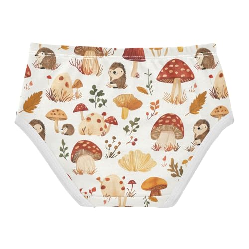 ZZKKO Fall Hedgehogs and Mushrooms Girls Underwear Toddler Panties for Girls Comfort Brief Size 8Y2
