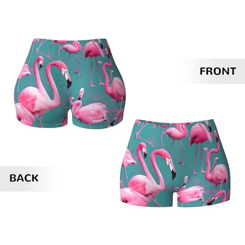 A Flock of Flamingos Pattern Sports Shorts, high Elastic Slim Fitness Pants, Suitable for Yoga/Leisure/Daily wear3