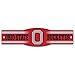 NCAA Ohio State University 89213014 Street/Zone Sign, 4.5" x 17"