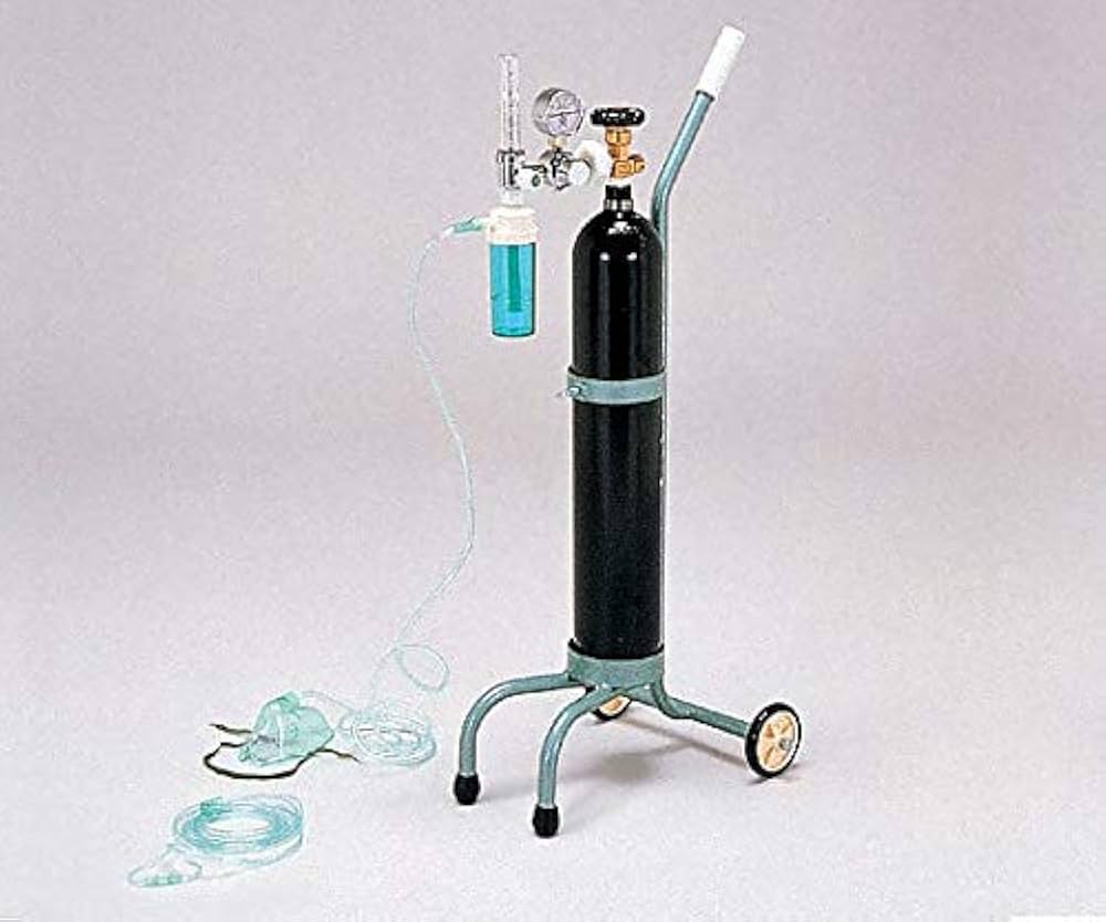 Amazon.co.jp: ブルークロス キャリー型酸素吸入器 一式 OX-500V