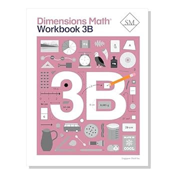 Dimensions Math Workbook 3B